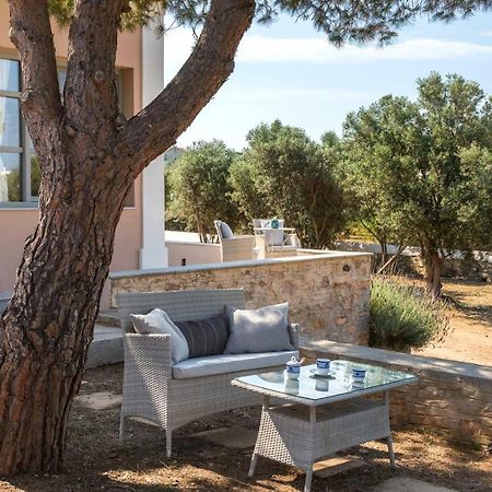 Vila Dellagracia Mansion In Poseidonia Syros Posidhonía Exteriér fotografie