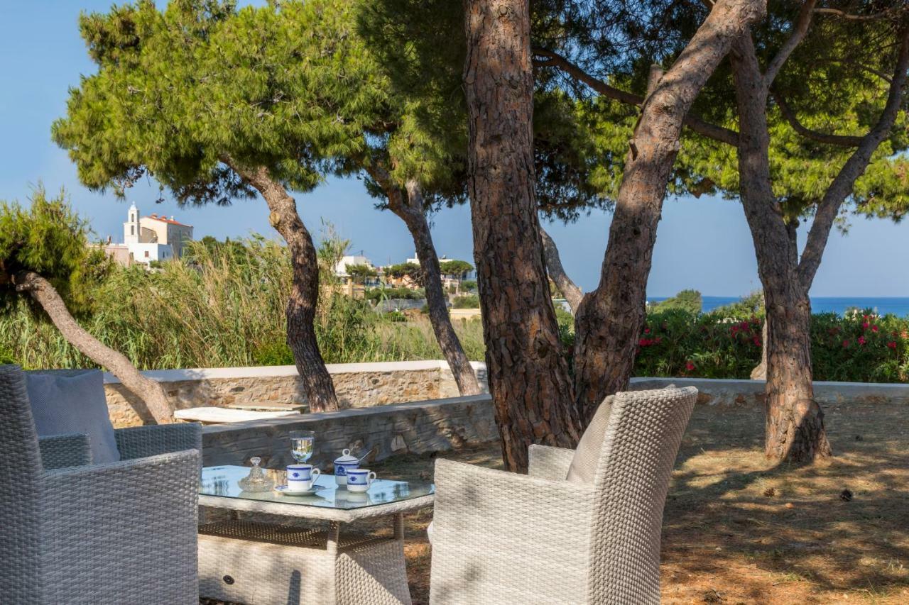 Vila Dellagracia Mansion In Poseidonia Syros Posidhonía Exteriér fotografie