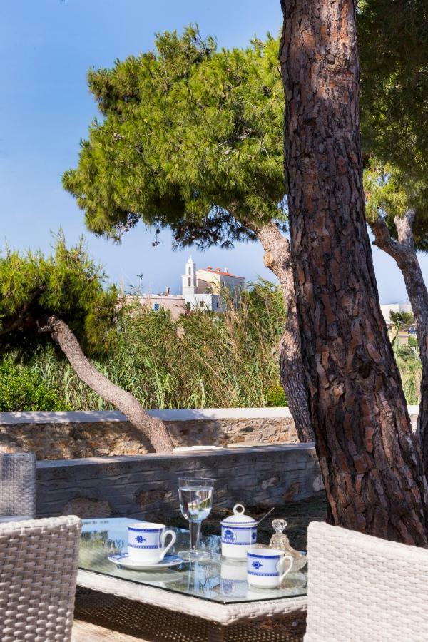 Vila Dellagracia Mansion In Poseidonia Syros Posidhonía Exteriér fotografie
